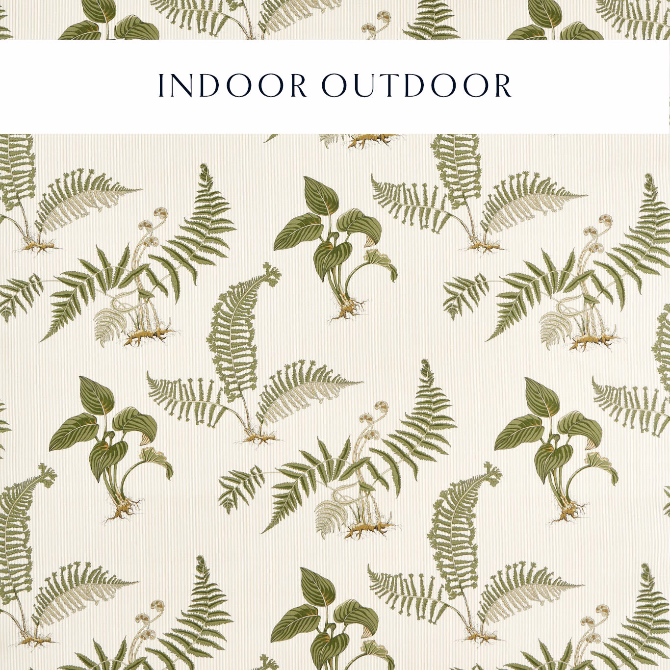 Cream outdoor fabric swatch with olive fern fronds and hosta leaves, large botanical repeat