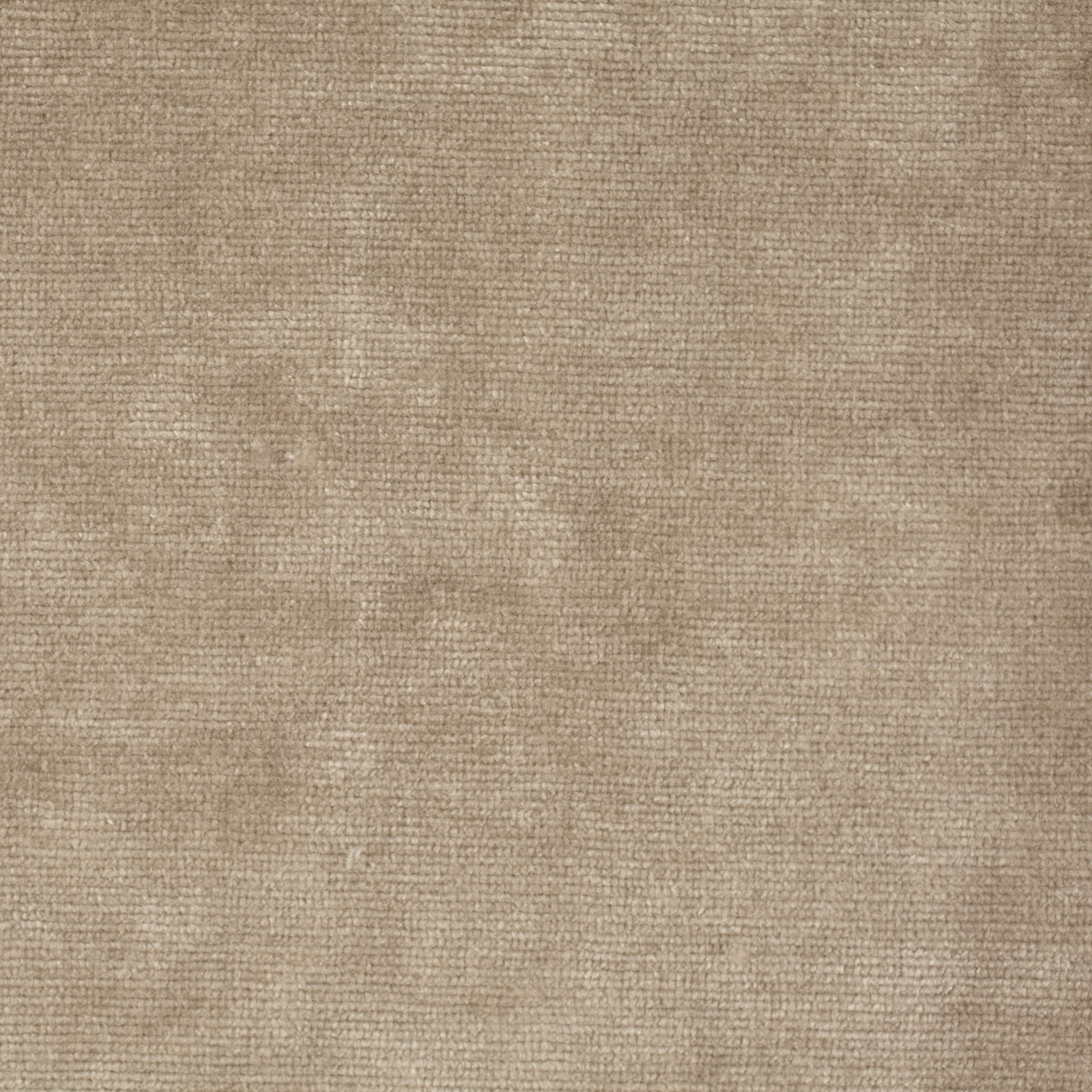 Close-up of oyster beige velvet with soft mottled texture and fine pile