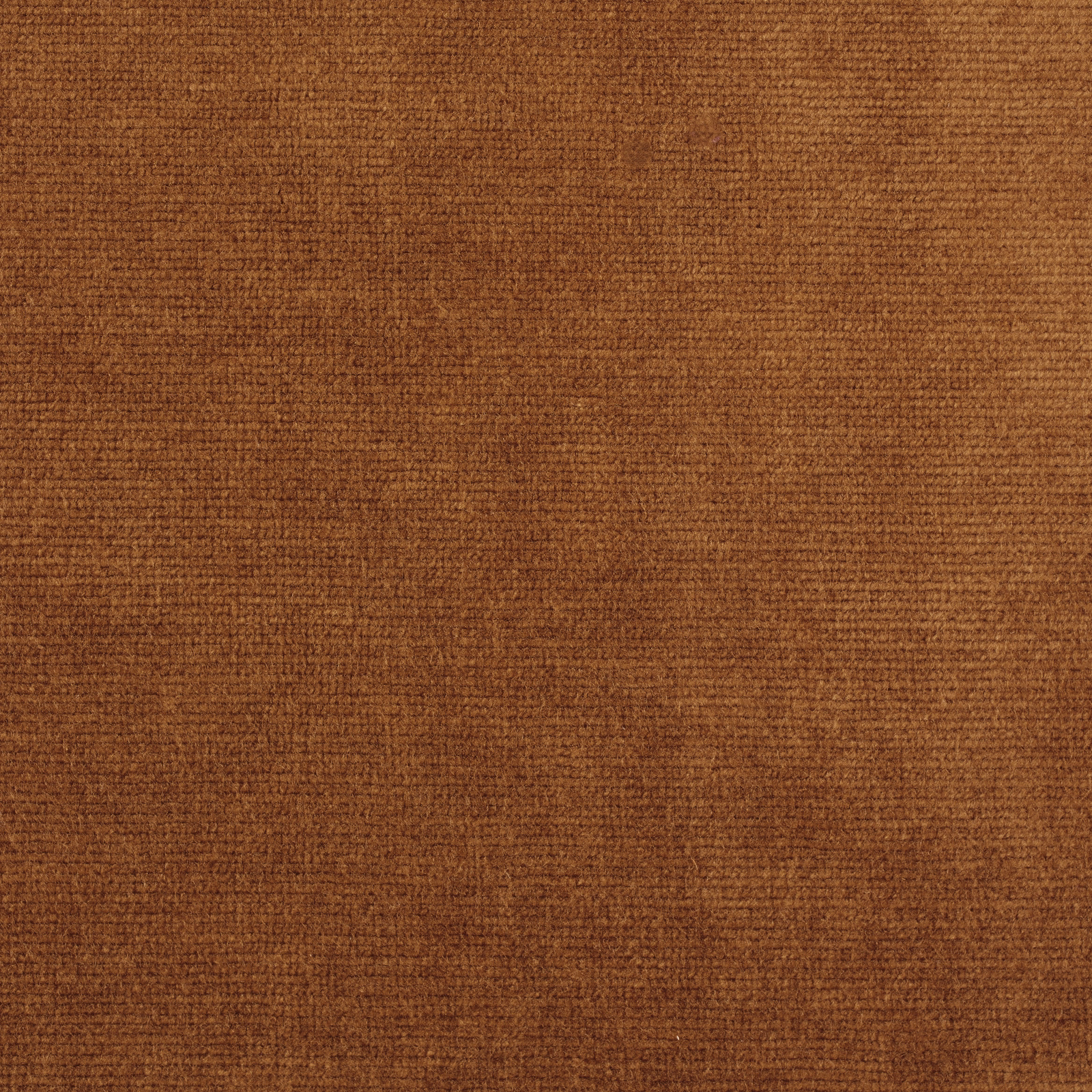 Close-up of warm burnt terracotta velvet with a dense, finely woven pile