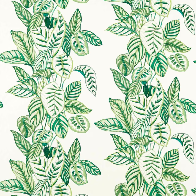 Green and cream calathea leaf print on a pale ground with large overlapping foliage