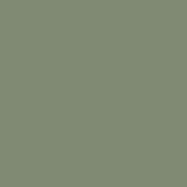 a flat tile of muted grey green paint