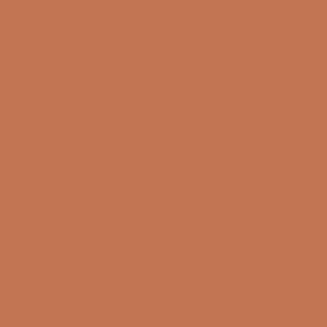 a flat tile of warm terracotta paint