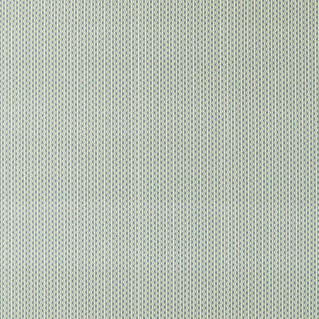 Close-up of a small avocado and indigo woven check fabric