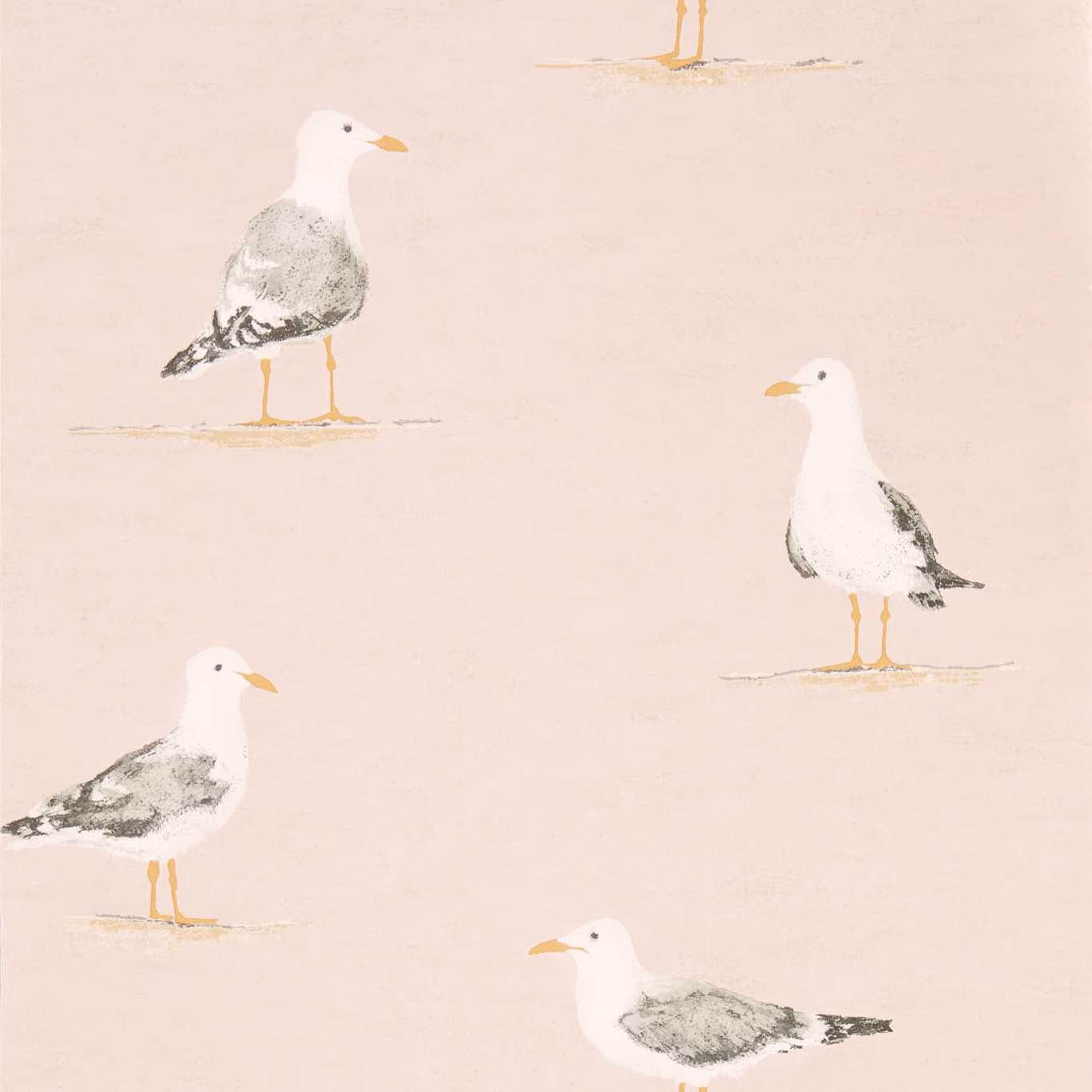 Dusty blush wallpaper with four sketched white gulls and soft grey feathers