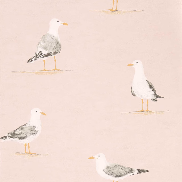 Dusty blush wallpaper with four sketched white gulls and soft grey feathers