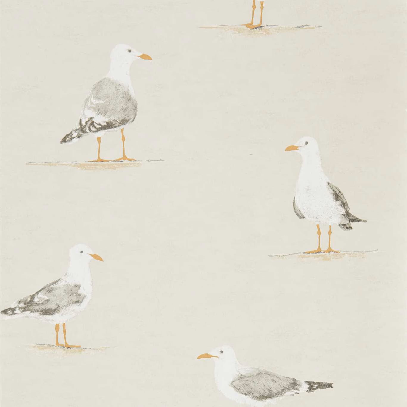 Pale driftwood wallpaper with white gulls, grey wings and ochre beaks
