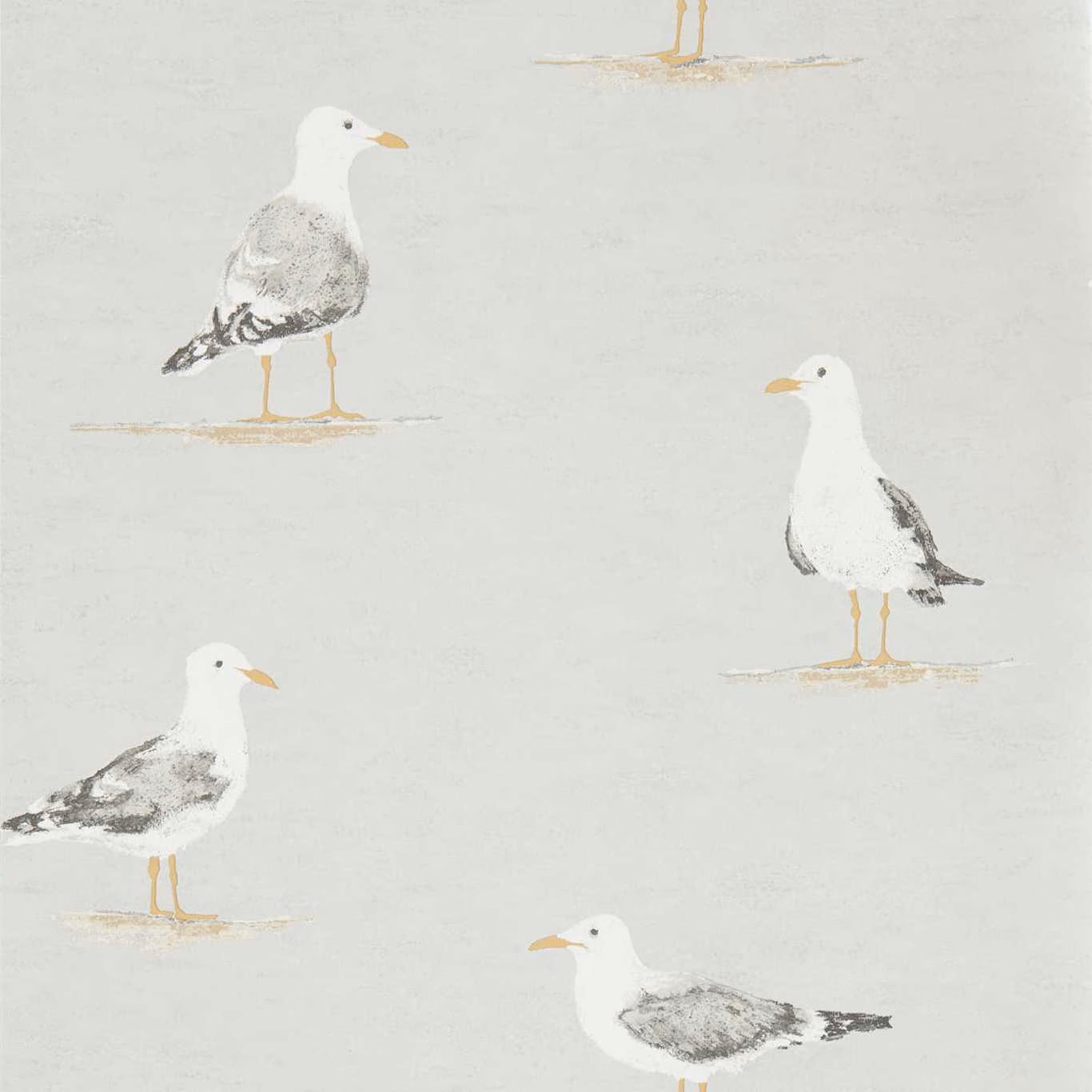 Pale dove-grey wallpaper with painted white and charcoal gulls and ochre legs