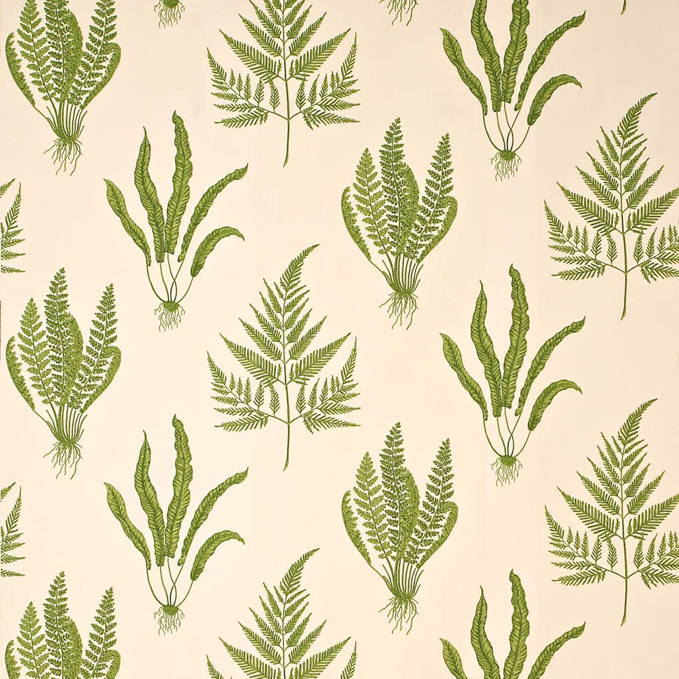 Cream fabric swatch with scattered moss-green fern fronds and leaf sprays