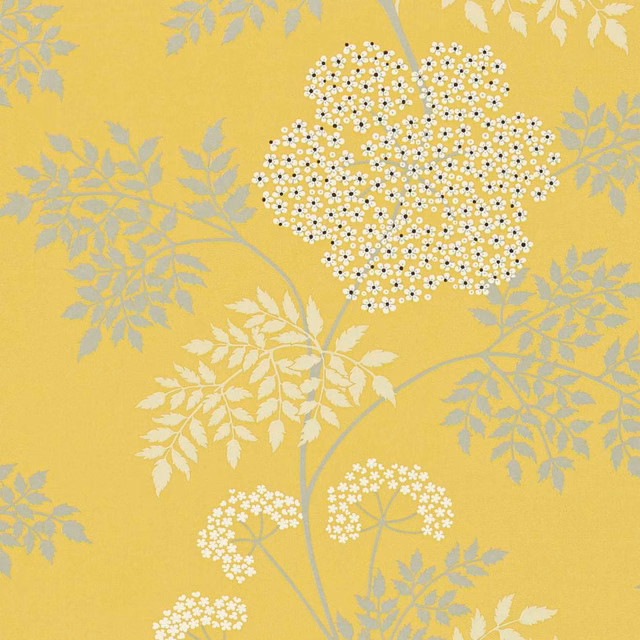 Warm yellow wallpaper with white cow parsley heads and pale grey leafy stems