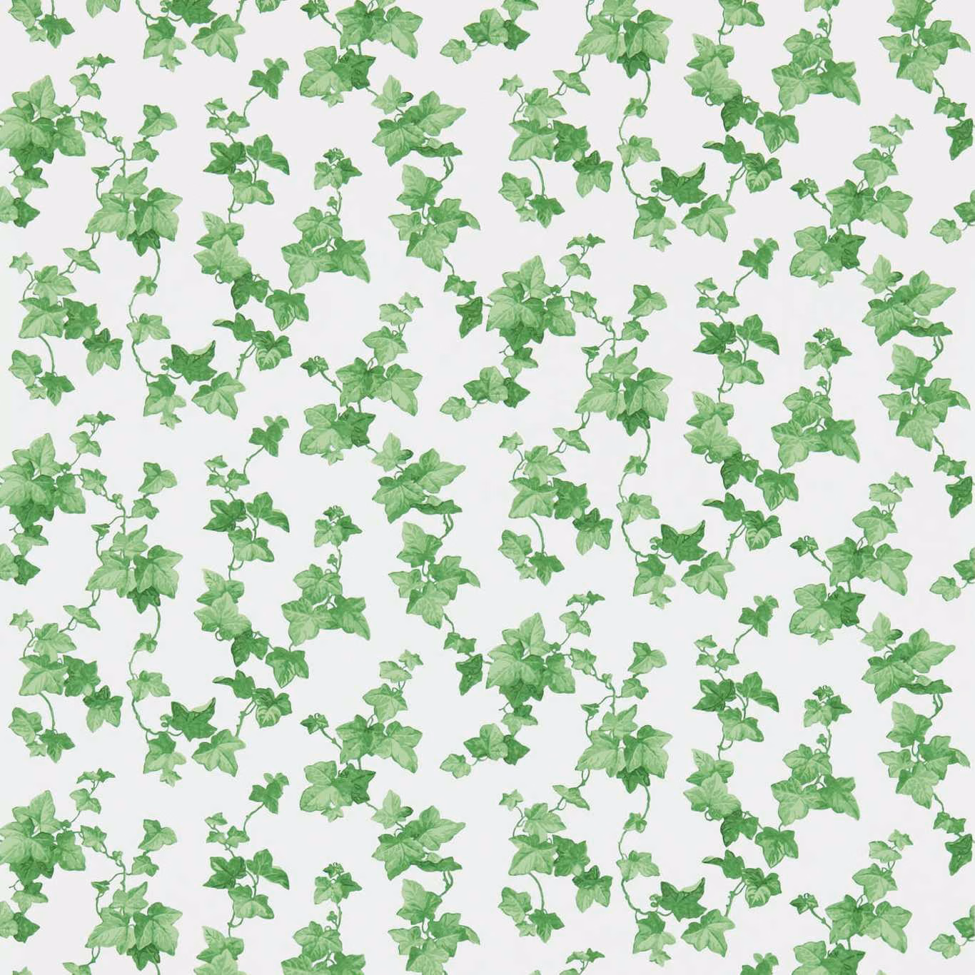 Watercolour ivy leaves in layered fresh greens scattered over a soft white wallpaper ground