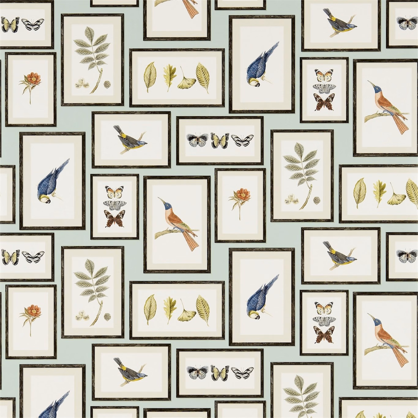 Pale aqua wallpaper with framed birds, butterflies, leaves and flowers in cream panels