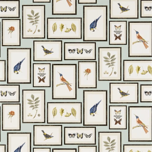 Pale aqua wallpaper with framed birds, butterflies, leaves and flowers in cream panels