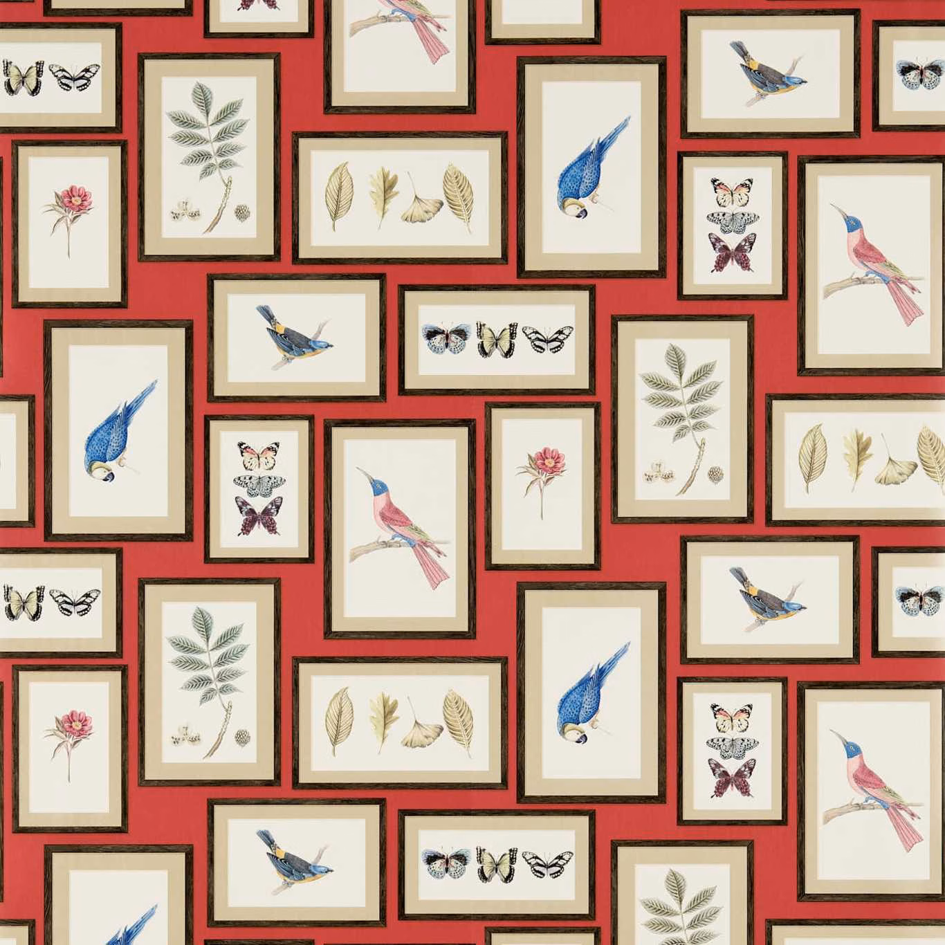 Deep red wallpaper with framed blue birds, botanicals, butterflies and pink flowers