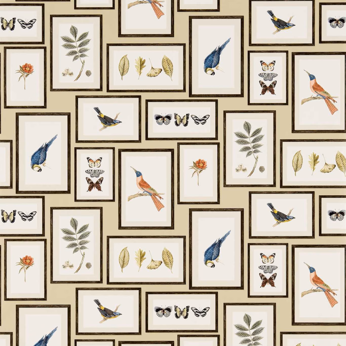 Sand wallpaper with framed blue birds, butterflies, foliage and flowers