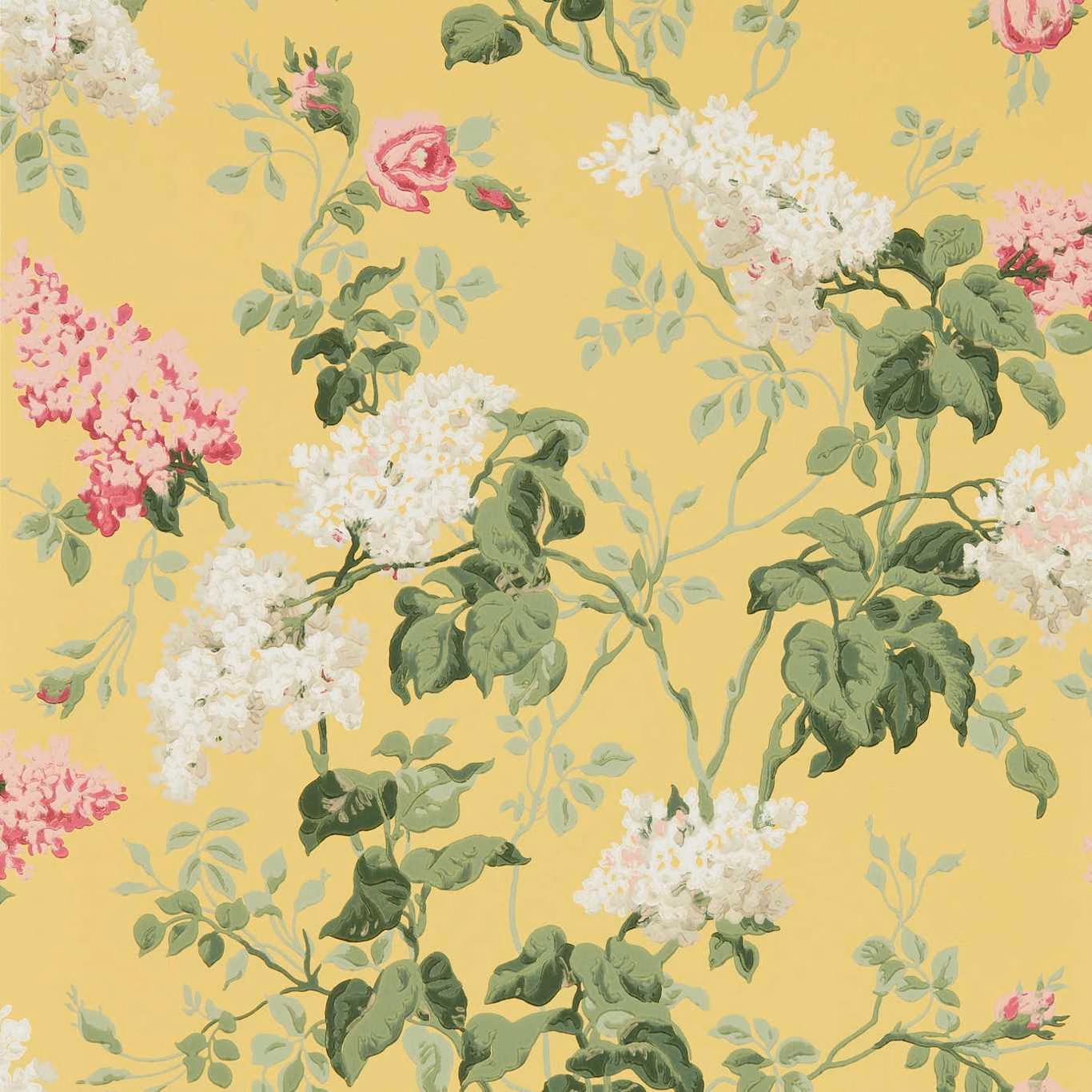 Warm daffodil wallpaper with rose, white blossom and leafy green climbing florals
