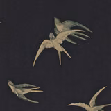 Charcoal-black wallpaper with muted sage and sand swallows in flight