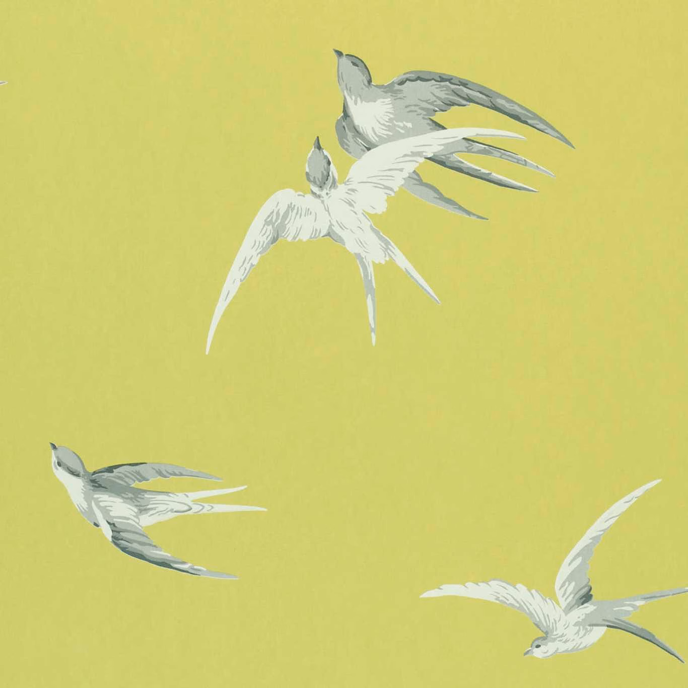 Lime-green wallpaper with pale and grey swallows flying across the ground