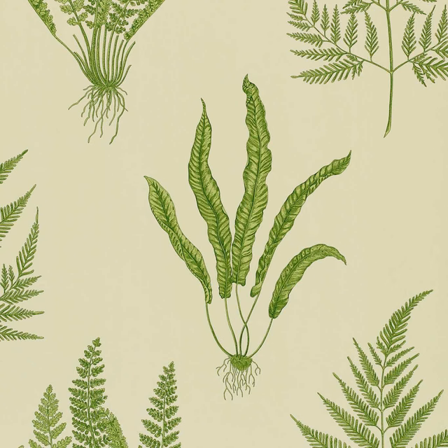 Pale olive wallpaper with detailed green fern fronds and delicate root forms