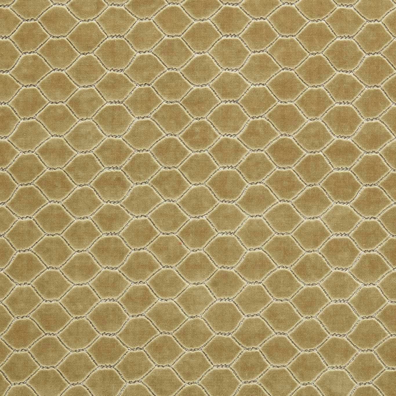 Muted antique-gold velvet with raised geometric hexagon pattern