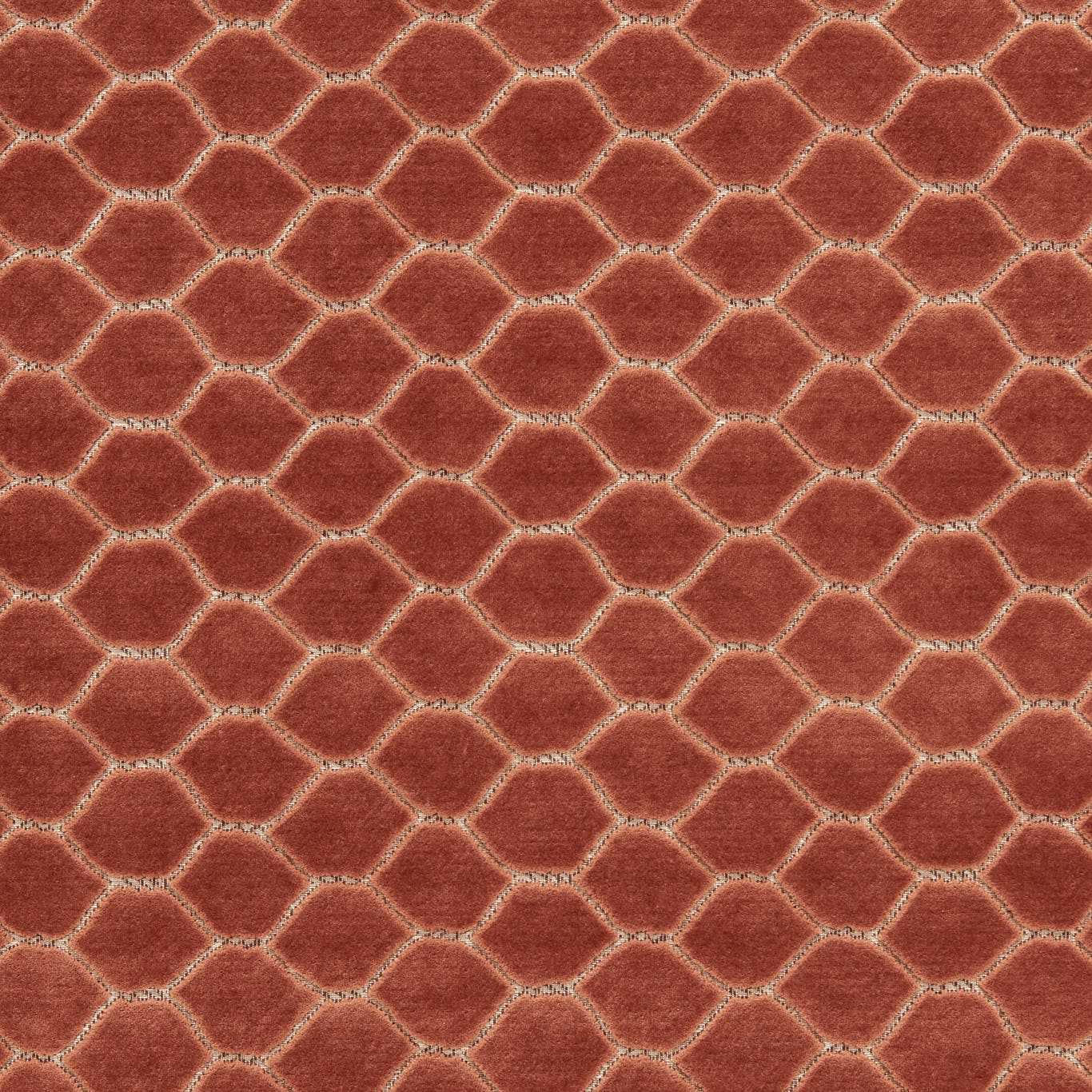 Terracotta velvet with rounded diamond lattice and soft pile sheen