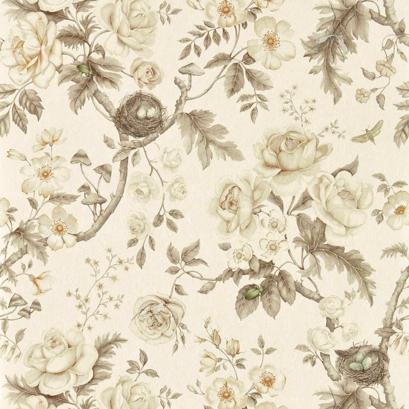 Pale oyster wallpaper with sepia roses, leafy branches, birds and detailed nest motifs