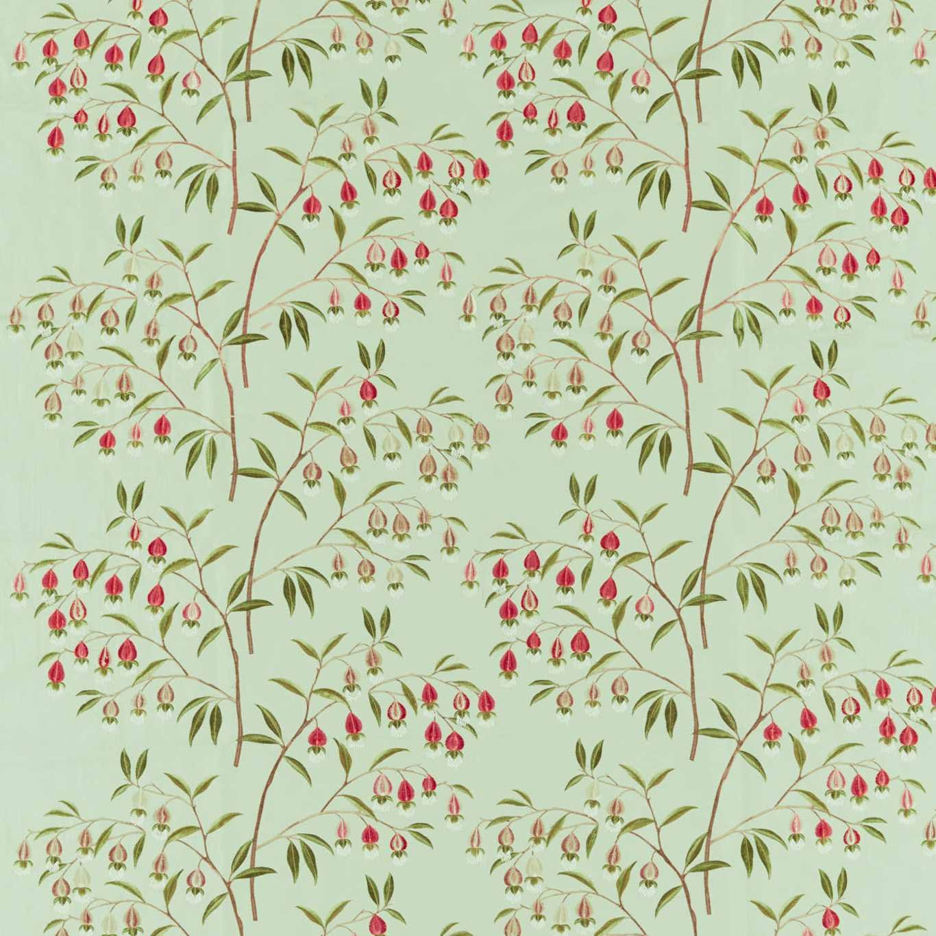 Mint green botanical fabric with trailing branches and red apricot lantern flowers