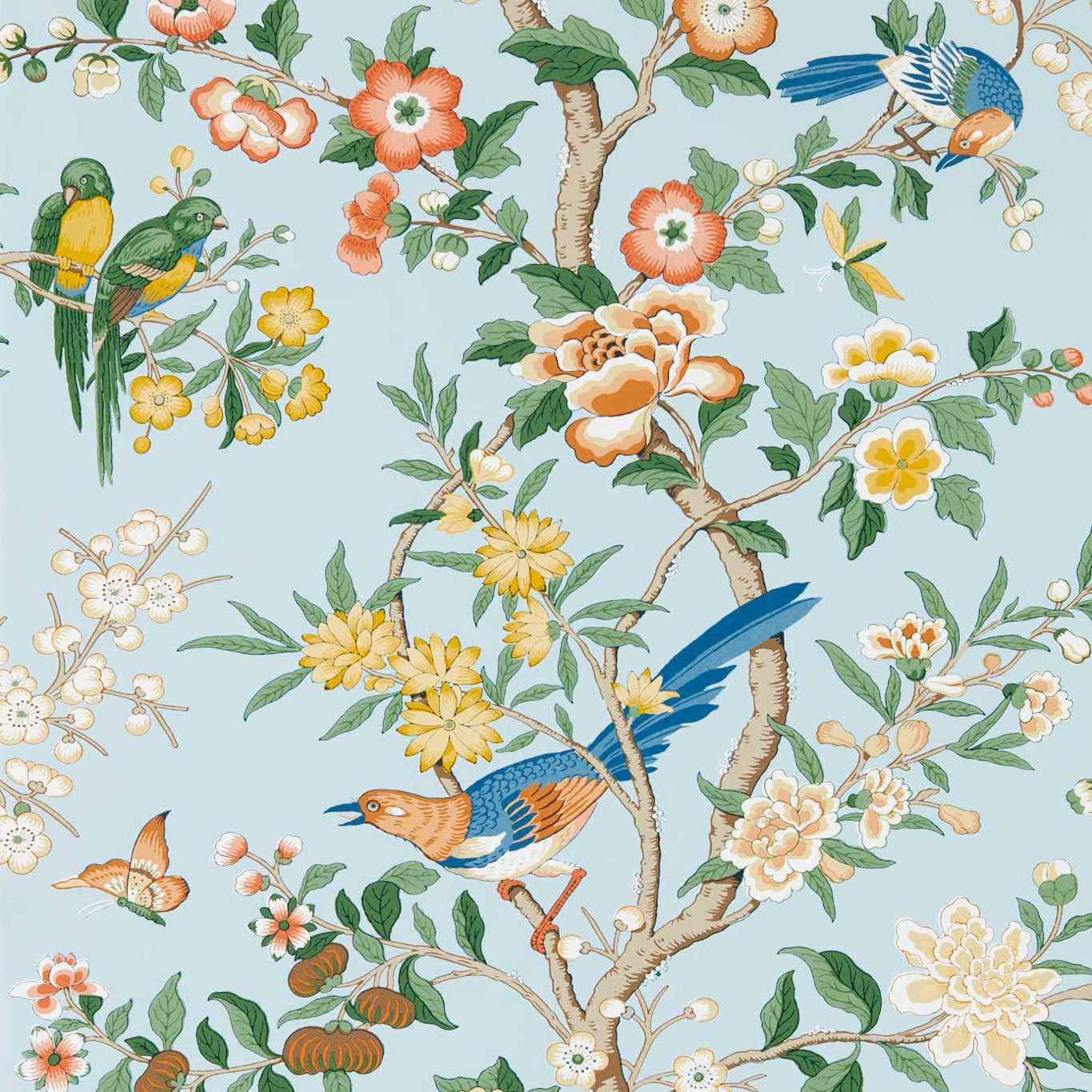Pale dawn-blue wallpaper with persimmon blossoms, blue birds and branching chinoiserie foliage.