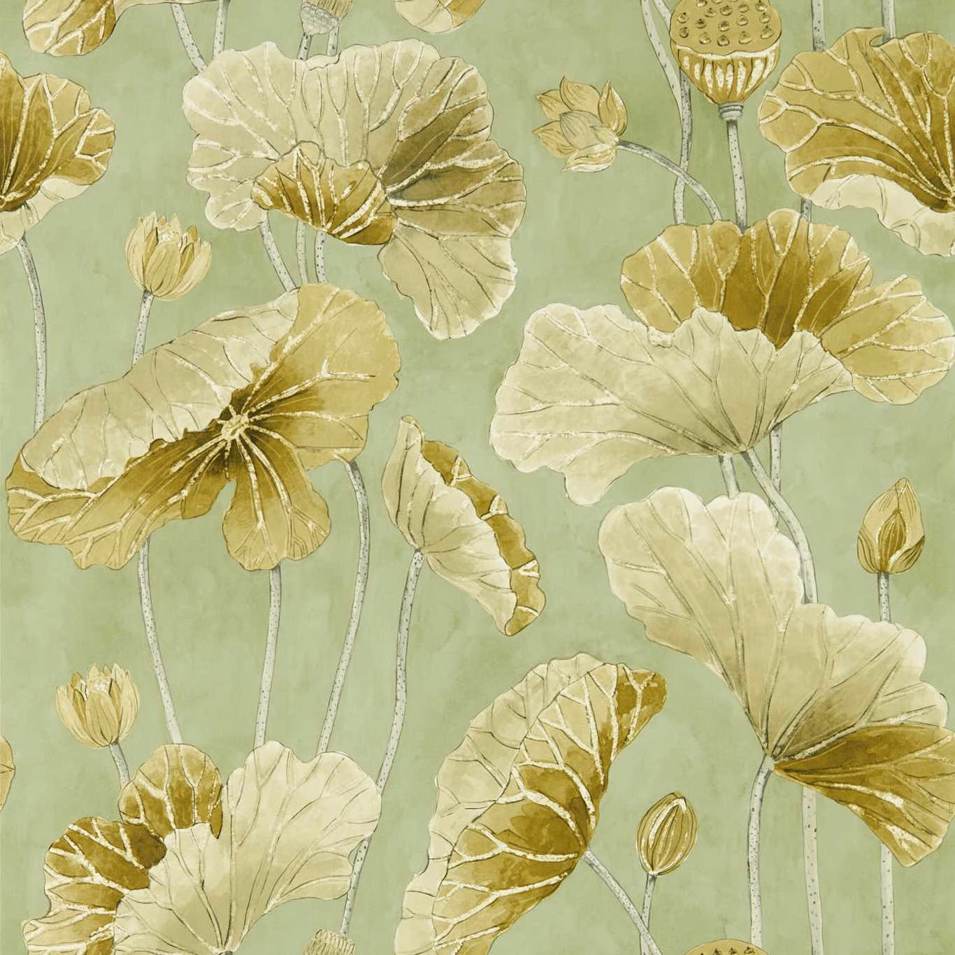 Muted olive wallpaper with large cream lotus leaves and olive-gold botanical shading
