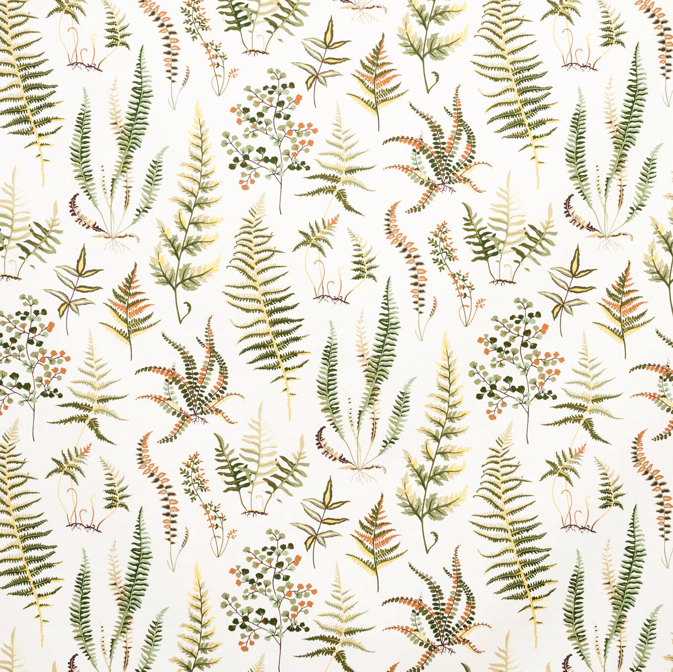 Ivory botanical print with olive ferns, sage leaves and muted rust berries