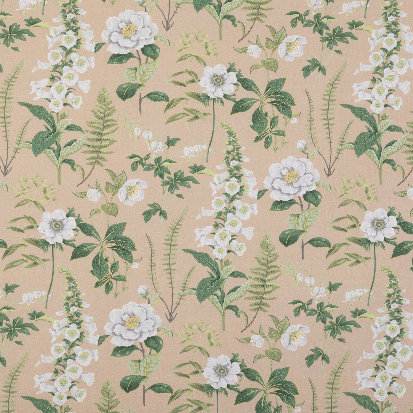 Warm sand botanical print with white flowers, sage foliage and delicate fern sprays
