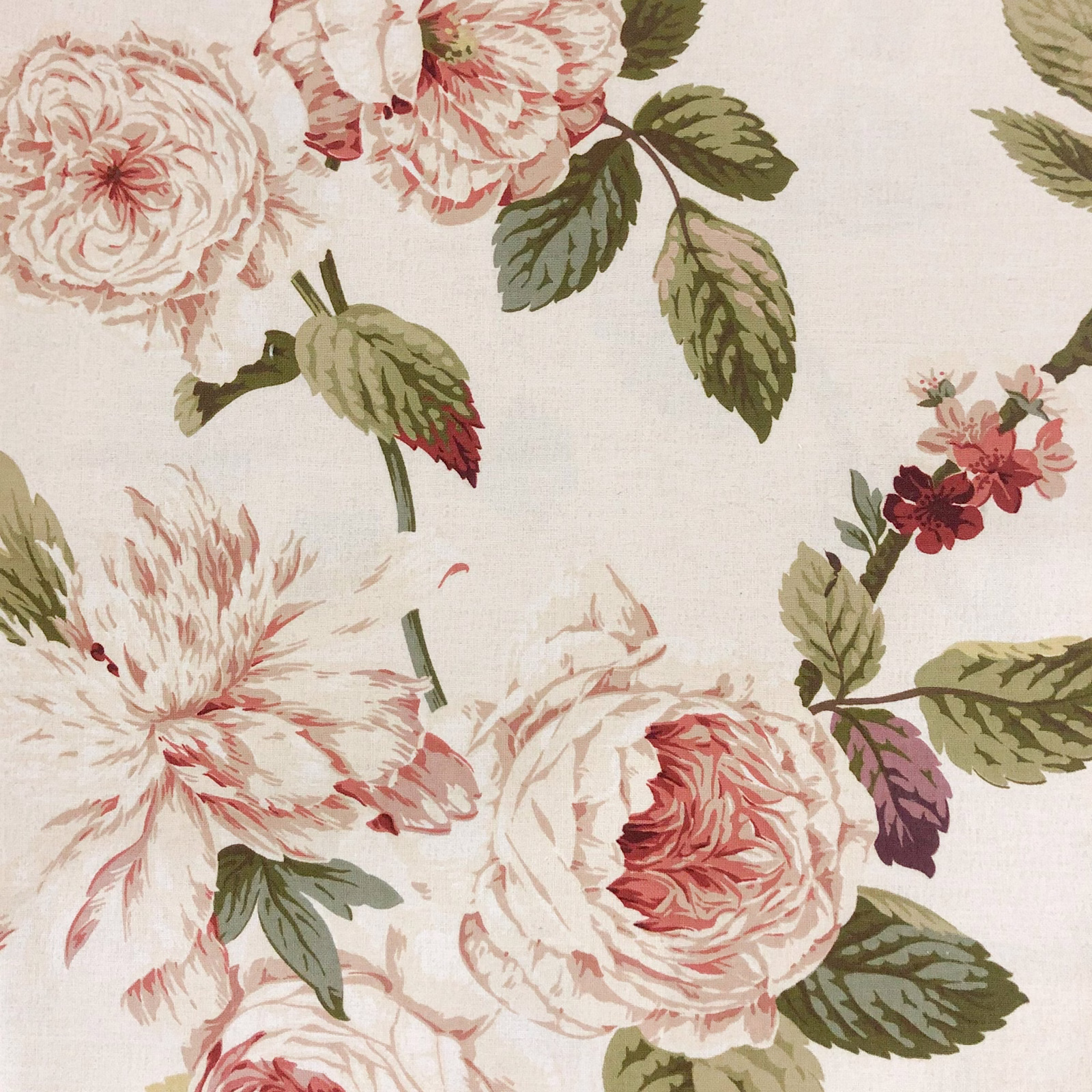 Blush peonies, coral flowers and olive leaves on a warm ivory floral textile
