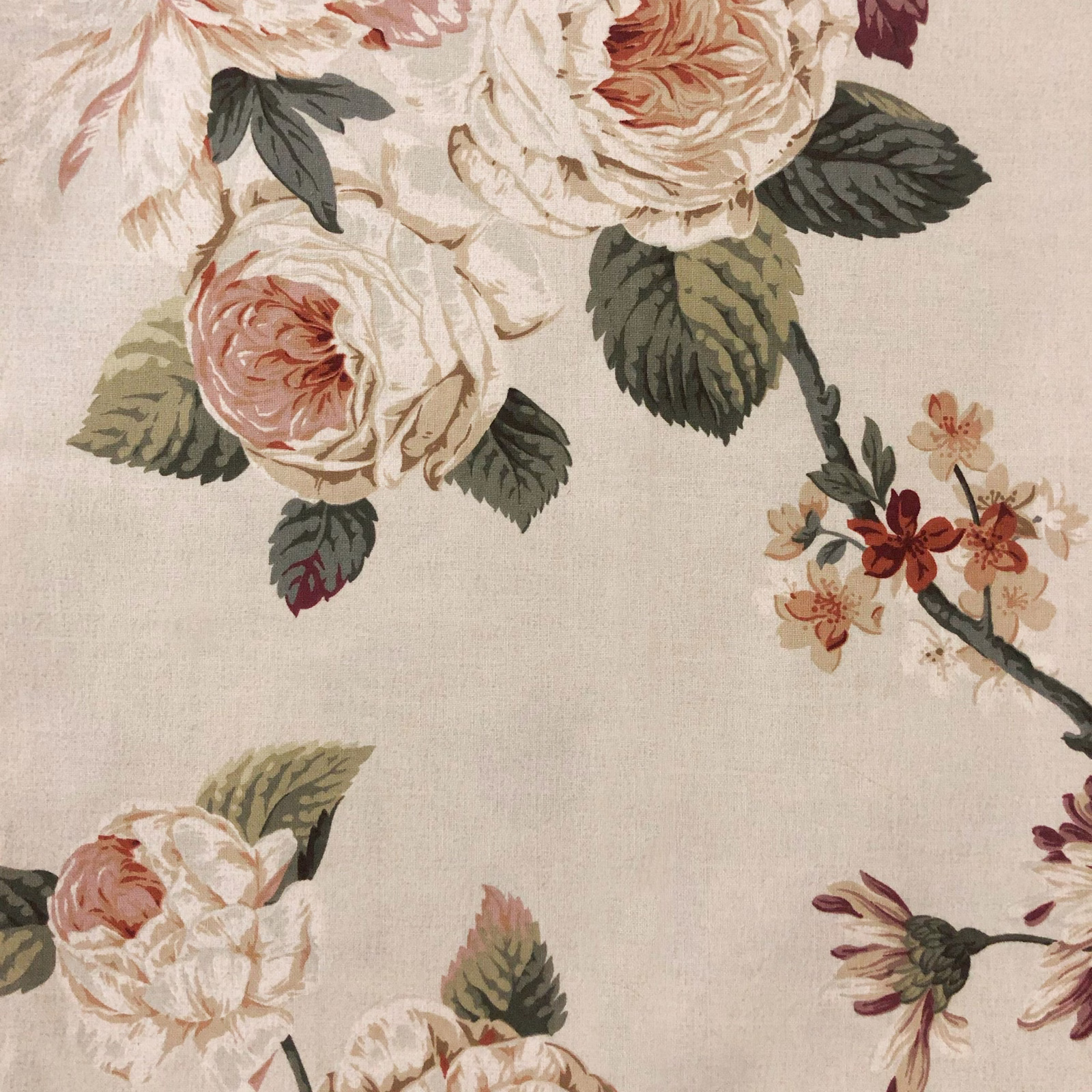 Large cream roses, olive leaves and burgundy flowers on a textured oatmeal ground