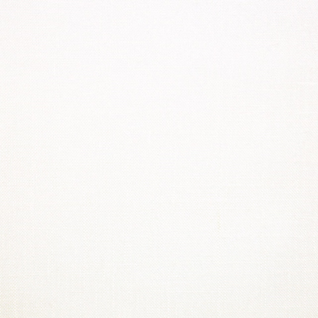 Soft ivory-white sheer fabric with a delicate, barely visible fine weave