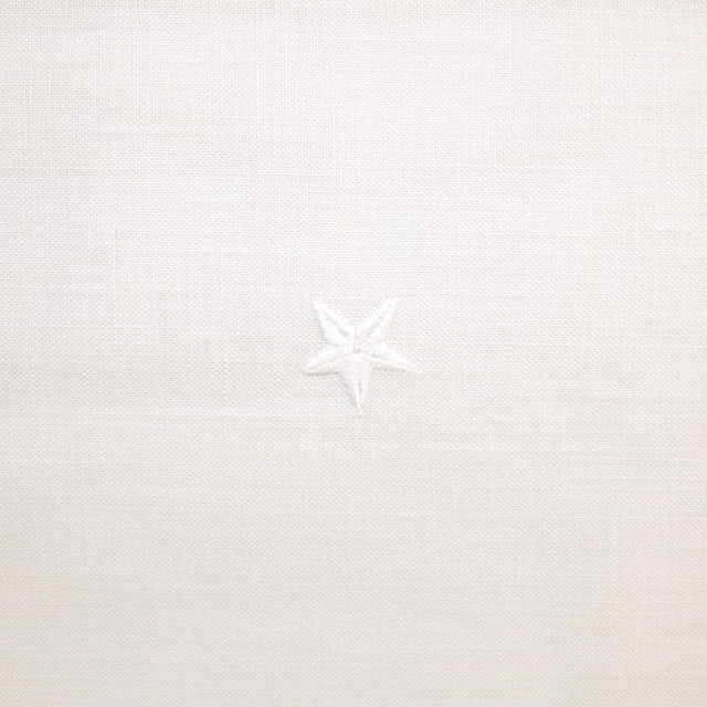 White sheer grid weave with a small raised star motif in close view