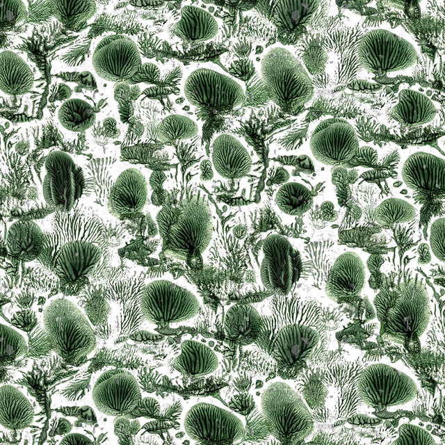 Coral Blotch Cork Wallpaper Original fabric