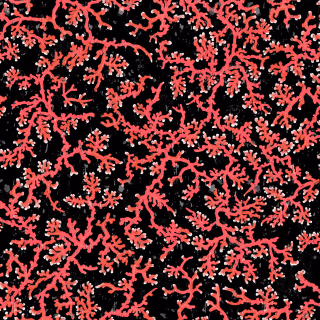Coral Cork Wallpaper Black fabric