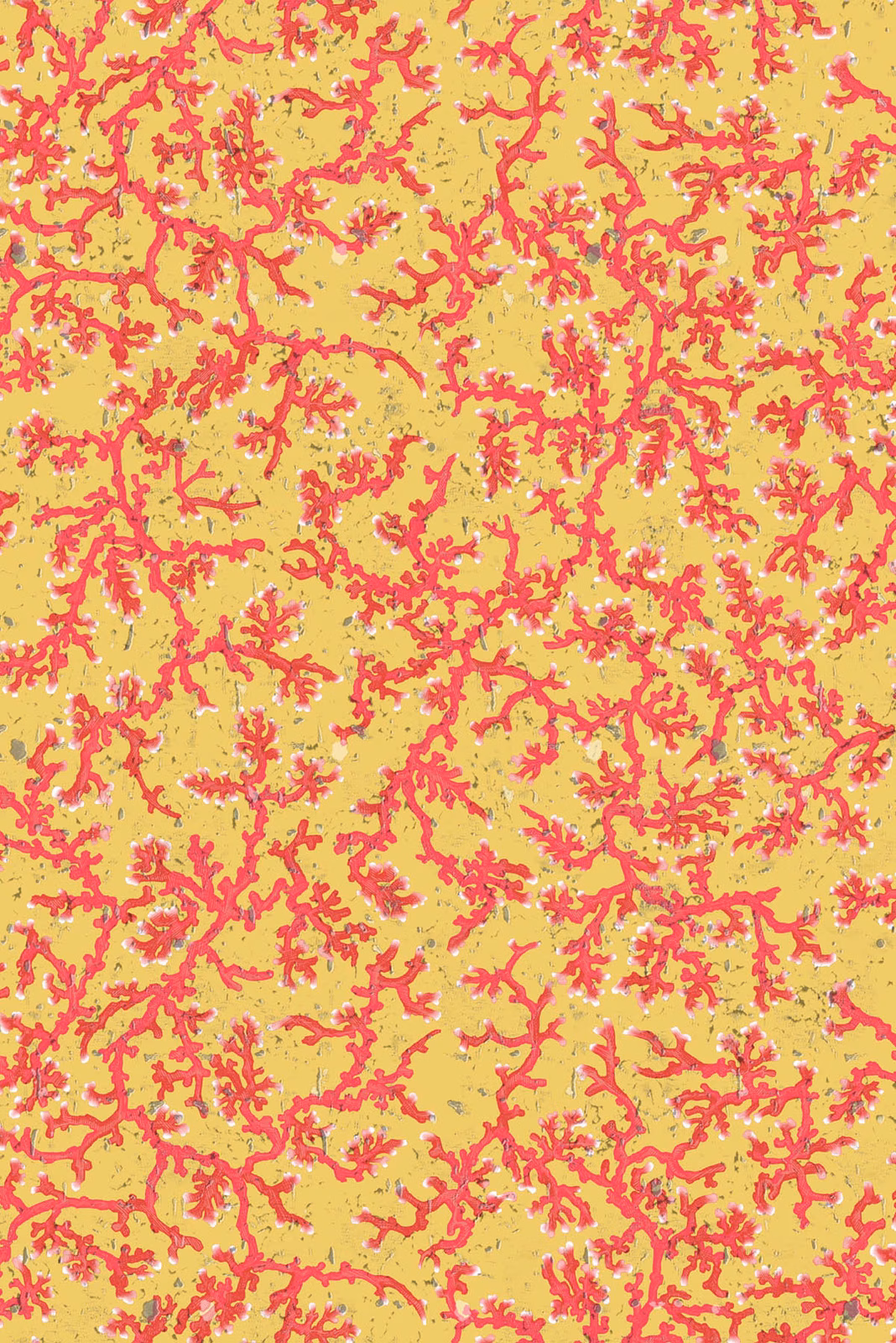 Coral Cork Wallpaper Yellow fabric