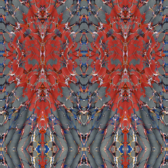 Ex Libris Velvet Fabric Brick Red on Charcoal fabric