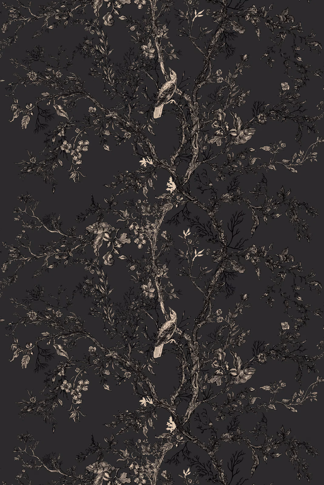 Golden Oriole Superwide Wallpaper Black fabric