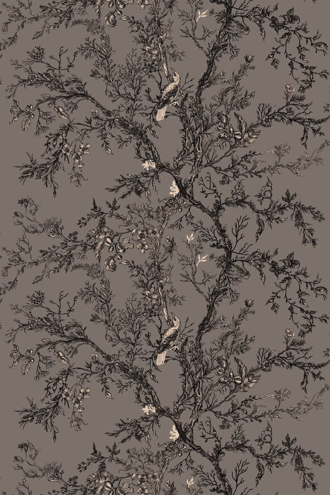 Golden Oriole Superwide Wallpaper Dark Grey fabric