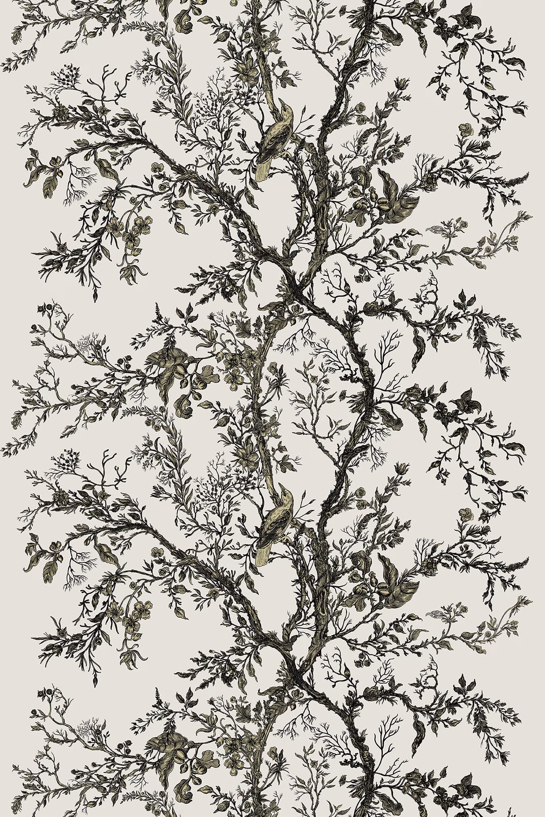 Golden Oriole Velvet Fabric Black & Gold on Beige fabric