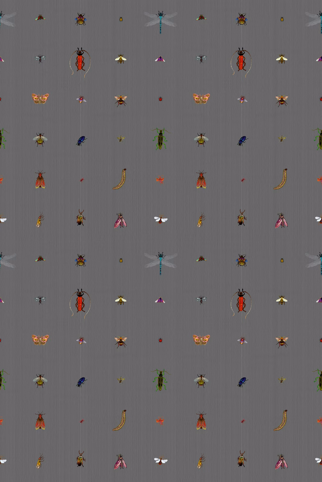 Insect Grid Wallpaper Charcoal fabric