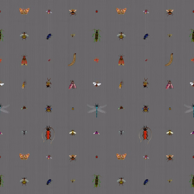 Insect Grid Wallpaper Charcoal fabric