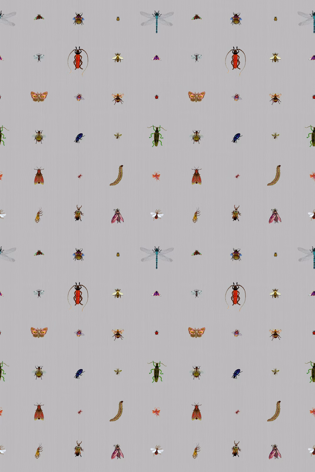 Insect Grid Wallpaper Grey fabric