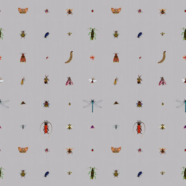 Insect Grid Wallpaper Grey fabric