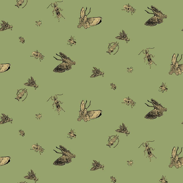 Insect Wallpaper Gold & Black on Kingsburgh fabric