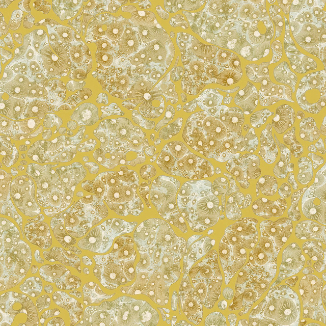 Moonrock Cork Wallpaper Citrine fabric