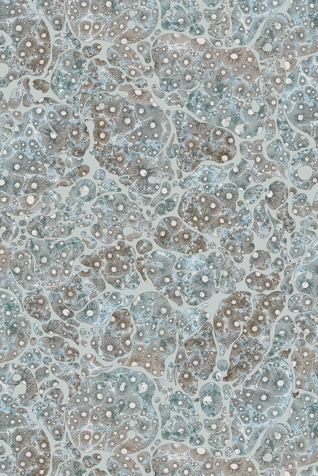 Moonrock Cork Wallpaper Lunar Dust fabric
