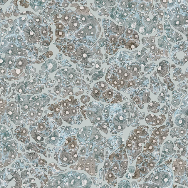Moonrock Cork Wallpaper Lunar Dust fabric