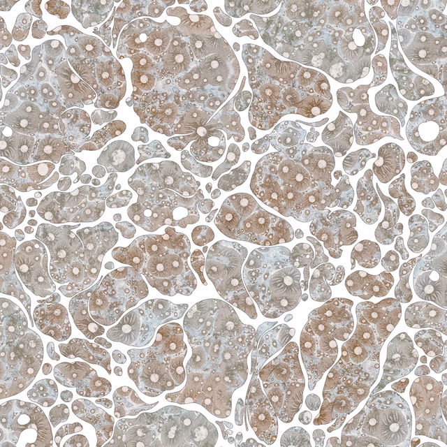 Moonrock Cork Wallpaper Waning Crescent fabric